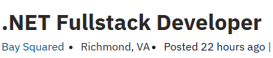 .NET Fullstack Developer
