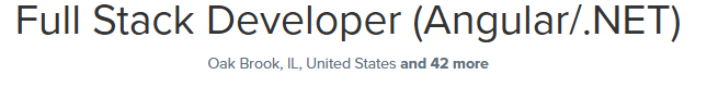 Full Stack Developer (Angular/.NET)