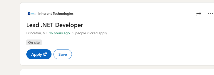 Lead .NET Developer